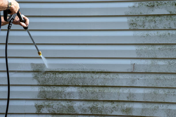 Best Siding Painting and Refinishing  in King City, OR